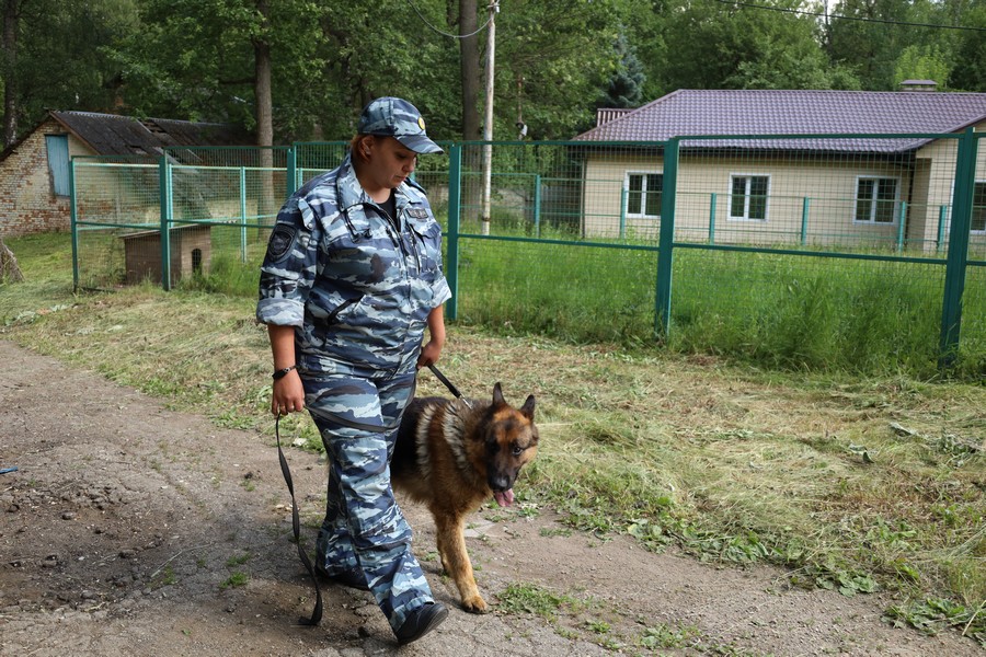 «Это самая потрясающая работа»: интервью с кинологом из Новомосковска Ириной Уваровой.