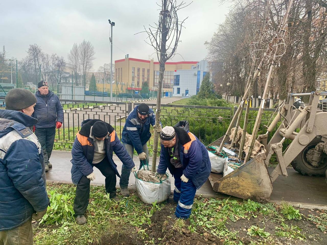 Озеленение Новомосковска.