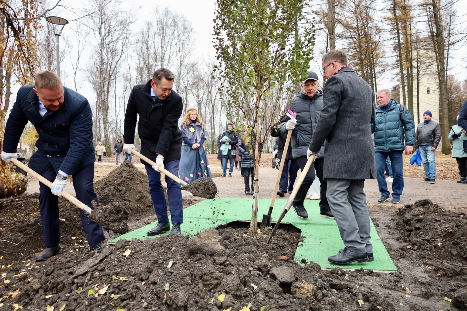 Высадка аллеи «Берёзы России».