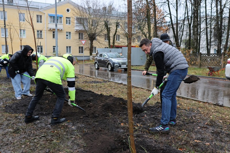 В Новомосковске продолжаются осенние работы по озеленению.