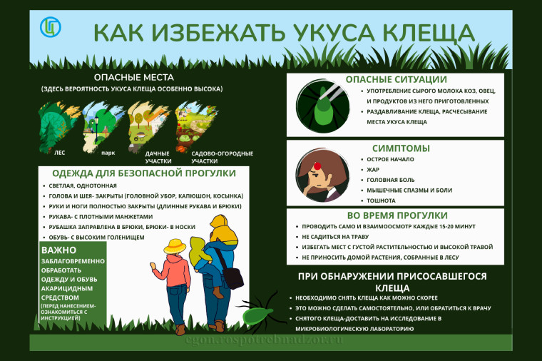 Как избежать укуса клеща?. Как избежать укуса клеща?.