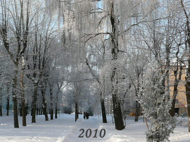 Новогодние каникулы в Новомосковске.