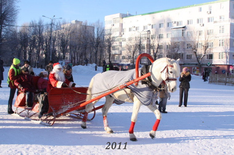Новогодние каникулы в Новомосковске.