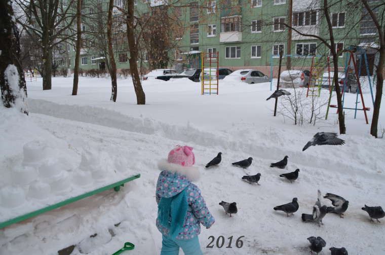 Новогодние каникулы в Новомосковске.
