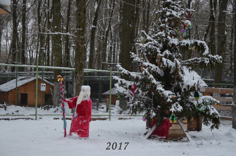 Новогодние каникулы в Новомосковске.