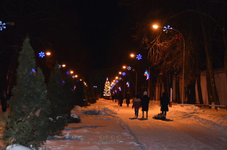 Новогодние каникулы в Новомосковске.
