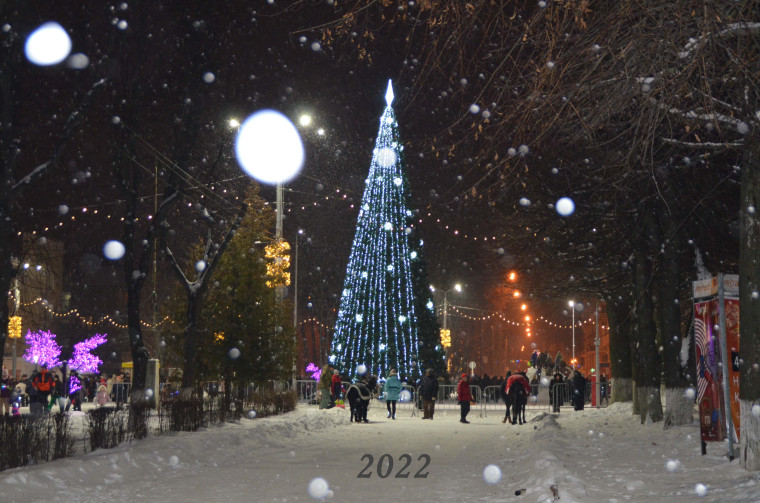 Новогодние каникулы в Новомосковске.
