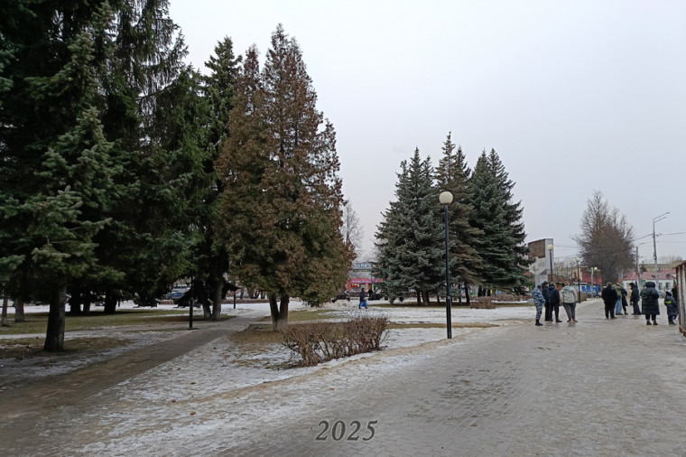 Новогодние каникулы в Новомосковске.